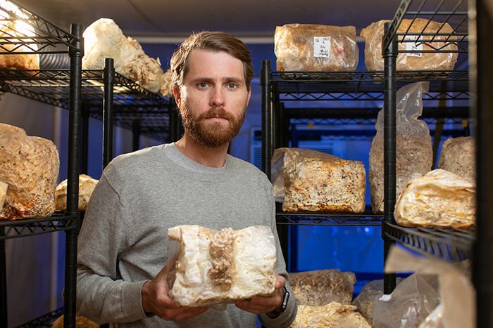 Kennesaw State Research Team Looks To Expand Mushroom Production Range