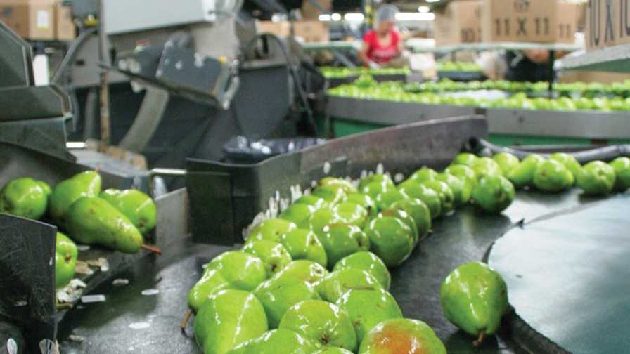 International Fresh Produce Association Strengthens Food Safety Stance