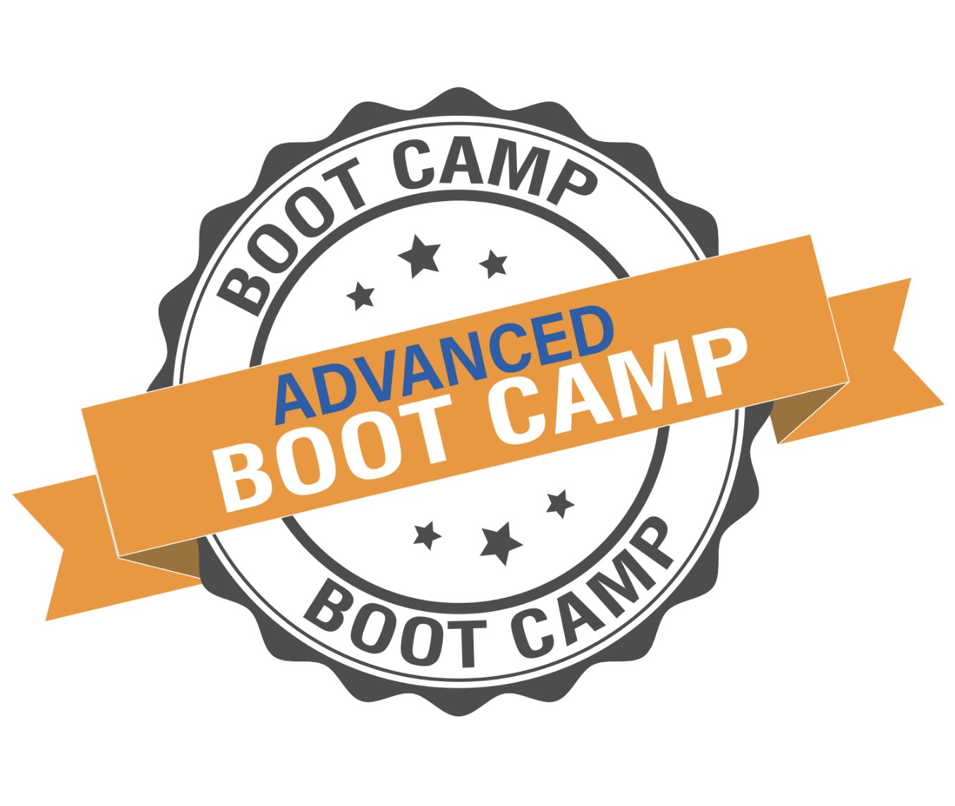 Advanced Inspector Boot Camp